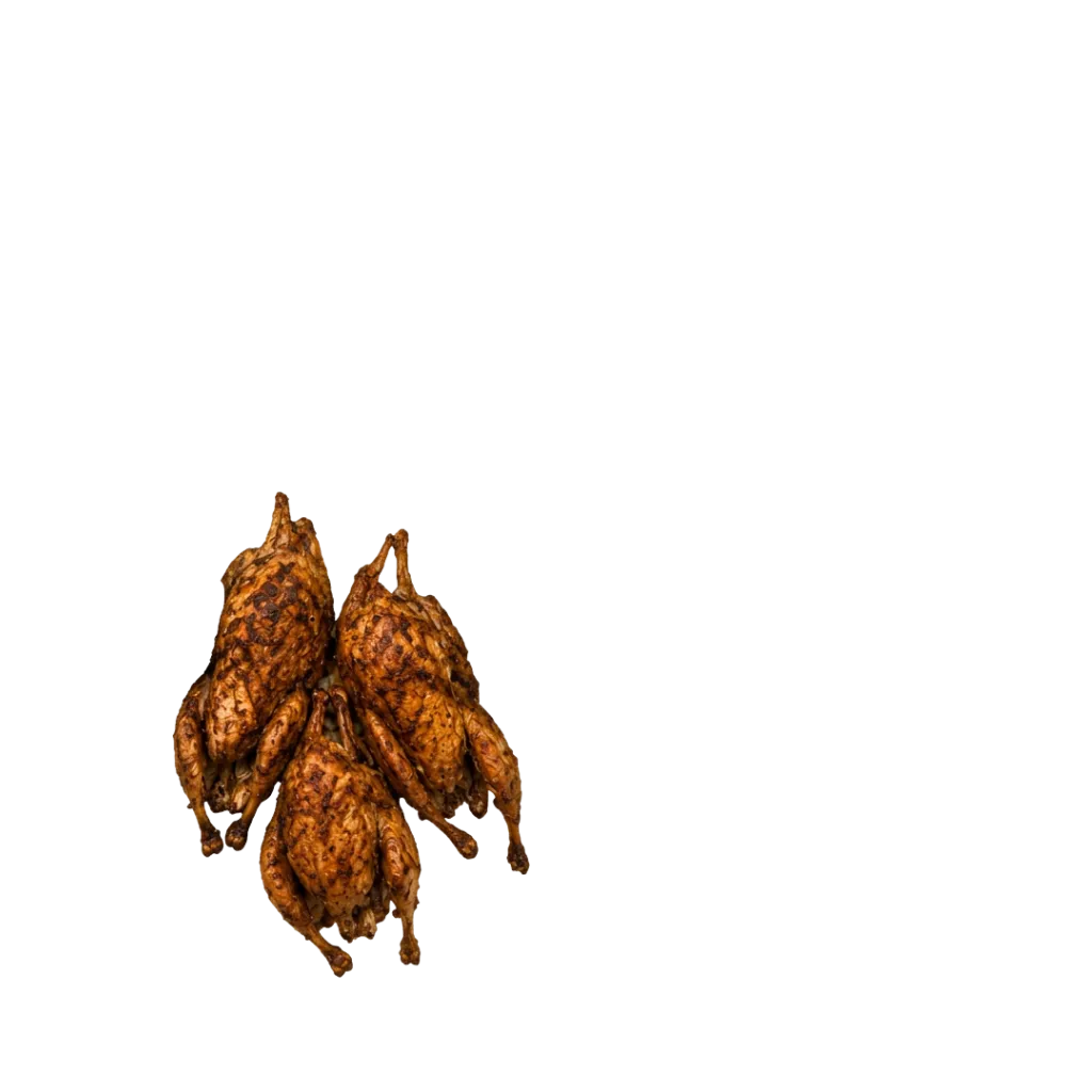 Flame Roasted Sufi Batair Quail at Kotal Restaurant